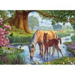 
						Puzzle  Eurographics-6000-0976 