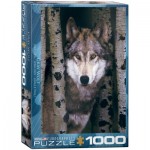 Puzzle  Eurographics-6000-1244 