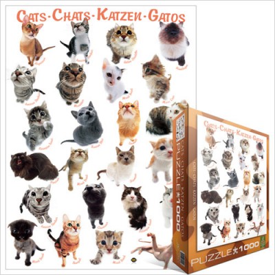 Puzzle Eurographics-6000-1511 Klassische Katzenrassen