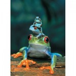 Puzzle  Eurographics-6000-3004 