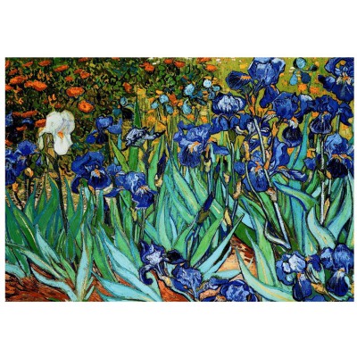 Puzzle Eurographics-6000-4364 Van Gogh : Les Iris