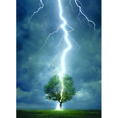 Puzzle Eurographics-6000-4570 Lightning striking a tree