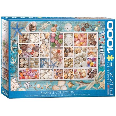 Puzzle Eurographics-6000-5529 Seashell Collection