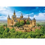 
						Puzzle  Eurographics-6000-5762 