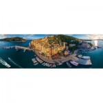 Puzzle  Eurographics-6010-5302 