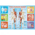 Puzzle  Eurographics-6200-1000 