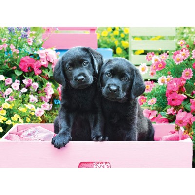 Puzzle Eurographics-6500-5462 Pièces XXL - Labradors Noirs dans une Boîte Rose