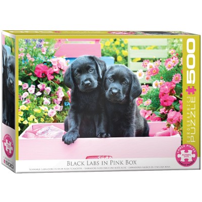 Puzzle Eurographics-6500-5462 XXL Teile - Black Labs in Pink Box