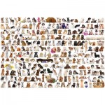 Puzzle  Eurographics-8220-0581 