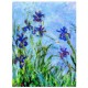 Claude Monet: Schwertlilien (Detail)