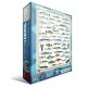 Fishes