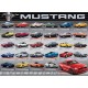 Ford Mustang Evolution