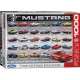 Ford Mustang Evolution