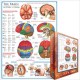 Jigsaw Puzzle - 1000 Pieces - The Brain