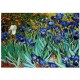 Van Gogh : Les Iris