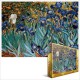Van Gogh : Les Iris