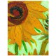 Vincent Van Gogh: Sonnenblumen (Detail)