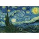 Vincent van Gogh: Starry Night