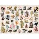 XXL Pieces - Familiy Puzzle: Yoga Kittens