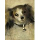 Auguste Renoir: Head of a Dog, 1870