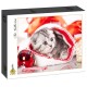 Chaton de Noël