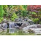 Deutschland Edition - Wasserfall im japanischen Garten, Bonn