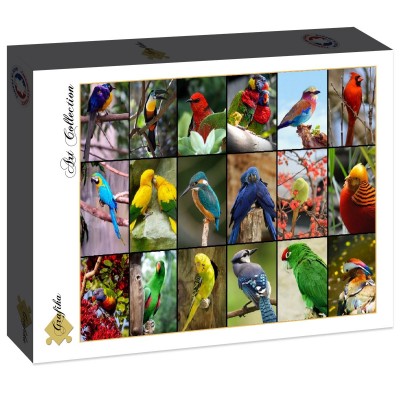 Puzzle Grafika-F-30101 Collage - Die schönsten Vögel der Welt
