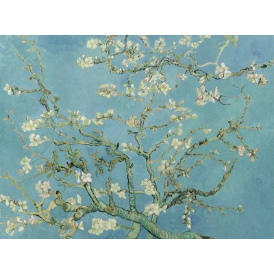 Puzzle Grafika-F-30109 Vincent Van Gogh - Amandier en Fleurs, 1890