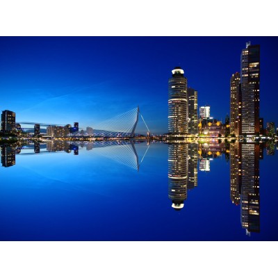 Puzzle Grafika-F-30464 Rotterdam