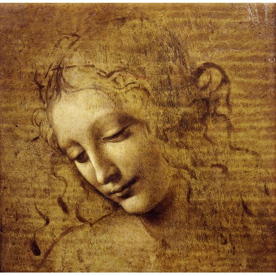 Puzzle Grafika-F-33545 Léonard de Vinci : Visage de Giovane Fanciulla, 1508