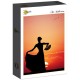 Flamenco at Sunset