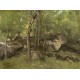 Jean-Baptiste-Camille Corot : Rochers en Forêt de Fontainebleau, 1860-1865