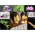 
						Puzzle  Grafika-T-00044 