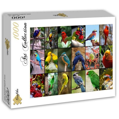 Puzzle Grafika-T-00047 Collage - Die schönsten Vögel der Welt