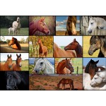 
						Puzzle  Grafika-T-00102 