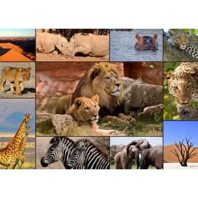 Puzzle Grafika-T-00133 Collage - Wildlife