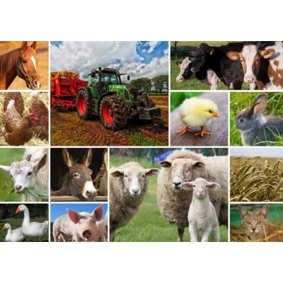Puzzle Grafika-T-00140 Collage - Farmyard Animals