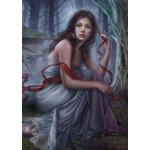 
						Puzzle  Grafika-T-00169 