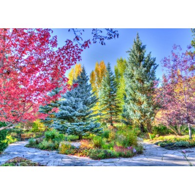 Puzzle Grafika-T-00852 Colorful Forest, Colorado, USA