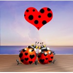 Puzzle  Grafika-T-02331 