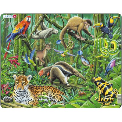 Larsen-FH10 Frame Jigsaw Puzzle - South American Rainforest