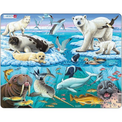 Larsen-FH11 Frame Jigsaw Puzzle - Arctic Ice