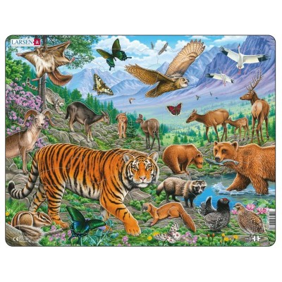 Larsen-FH39 Frame Puzzle - The Amur Tiger in Siberian Summer