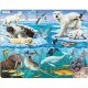 Frame Jigsaw Puzzle - Arctic Ice