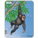 Frame Jigsaw Puzzle - Monkey