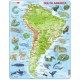 Frame Jigsaw Puzzle - South America