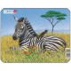 Frame Jigsaw Puzzle - Zebra