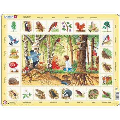 Larsen-NA4-GB Frame Puzzle - English Learning