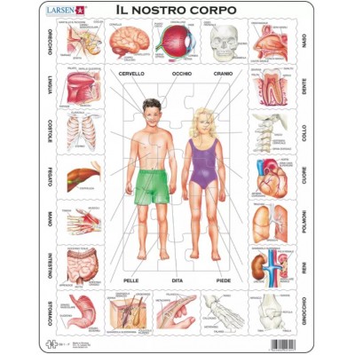 Larsen-OB1-IT Rahmenpuzzle - Il Nostro Corpo (auf Italienisch)