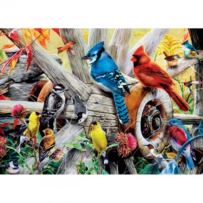 Puzzle Master-Pieces-31978 Backyard Birds